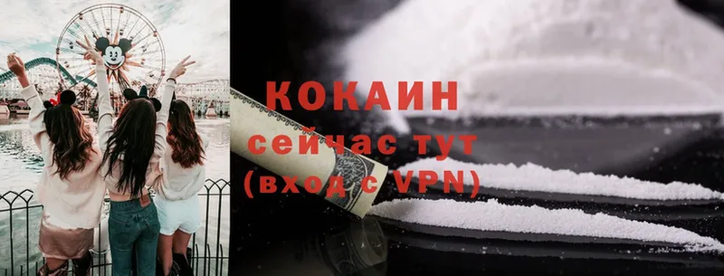 COCAIN Fish Scale  продажа наркотиков  Костерёво 