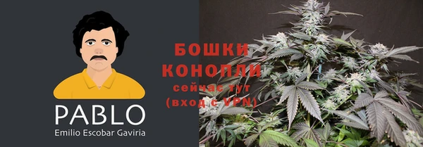 ешки Протвино