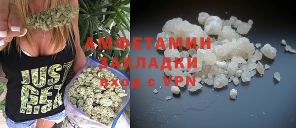 шишки Приозерск