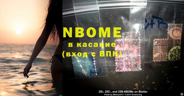 шишки Приозерск